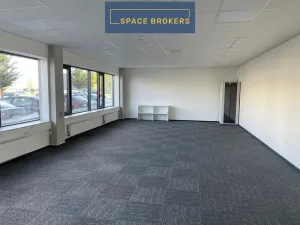 Pronájem skladu, Ostrava, 5994 m2