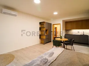 Pronájem bytu 1+kk, Brno, Cyrilská, 46 m2