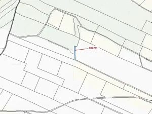 Dražba pole, Olešnice, 318 m2