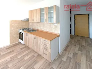 Pronájem bytu 1+1, Jirkov, Tkalcovská, 35 m2