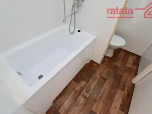 Pronájem bytu 1+1, Chomutov, Hutnická, 39 m2