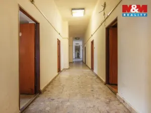 Pronájem obchodního prostoru, Plazy, 675 m2