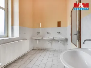 Pronájem obchodního prostoru, Plazy, 675 m2