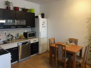 Pronájem bytu 2+kk, Olomouc, Družební, 54 m2
