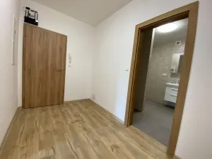 Pronájem bytu 4+kk, Rostěnice-Zvonovice - Rostěnice, 111 m2