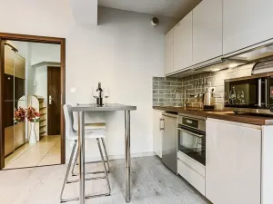 Pronájem bytu 1+kk, Praha - Holešovice, Jankovcova, 33 m2