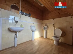 Pronájem kanceláře, Sviadnov, Ostravská, 200 m2