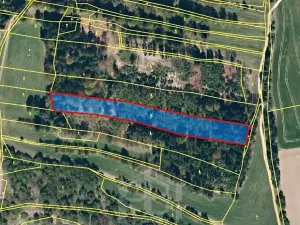 Prodej lesa, Jihlávka, 10463 m2