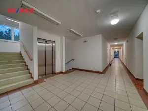 Pronájem bytu 2+kk, Poděbrady, Čechova, 50 m2