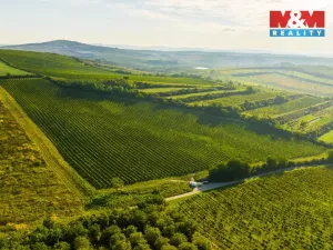 Prodej pole, Šardice, 56699 m2