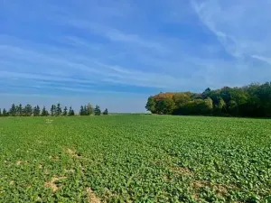 Prodej pole, Praha - Liboc, Na Padesátníku I, 24066 m2