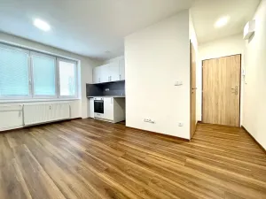 Prodej bytu 1+kk, Lovosice, Sady pionýrů, 22 m2