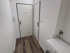 Pronájem bytu 1+kk, Ostrava - Moravská Ostrava, U Parku, 25 m2