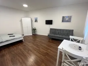 Pronájem bytu 1+kk, Olomouc, Andělská, 40 m2