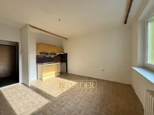 Prodej bytu 2+kk, Teplice, Scheinerova, 43 m2