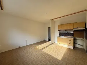 Prodej bytu 2+kk, Teplice, Scheinerova, 43 m2