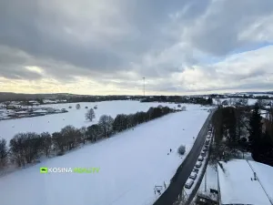 Prodej bytu 3+kk, Karlovy Vary, Dvořákova, 57 m2