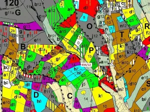 Dražba lesa, Jílové u Držkova, 10166 m2