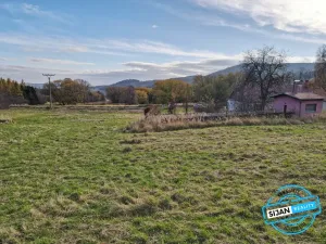 Prodej pozemku pro bydlení, Město Albrechtice, 3681 m2