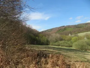 Dražba louky, Javorník, 16551 m2