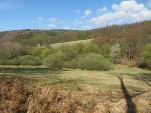 Dražba louky, Javorník, 16551 m2