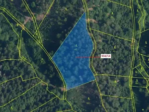 Dražba lesa, Jílové u Držkova, 5751 m2