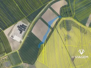 Prodej podílu pole, Koryčany, 2749 m2