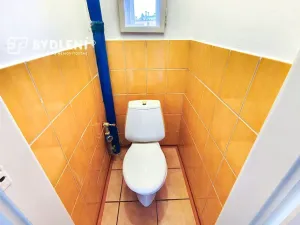 Pronájem bytu 1+1, Teplice, Smetanova, 43 m2