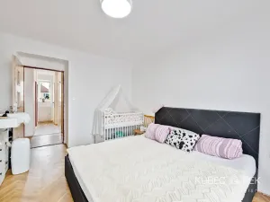 Prodej bytu 2+1, Tábor, Husinecká, 64 m2