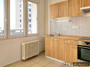 Pronájem bytu 1+1, Roudnice nad Labem, Alej 17. listopadu, 28 m2