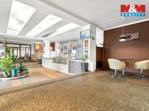 Pronájem obchodního prostoru, Ostrov, Lidická, 120 m2