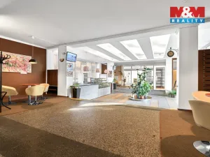 Pronájem obchodního prostoru, Ostrov, Lidická, 120 m2