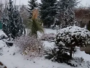 Prodej rodinného domu, Uherský Brod, Jabloňová, 124 m2