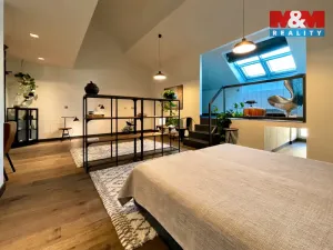 Pronájem bytu 2+kk, Praha - Nové Město, Revoluční, 92 m2