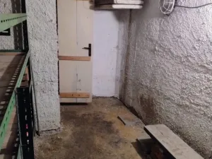 Prodej zahrady, Opava, Gogolova, 256 m2