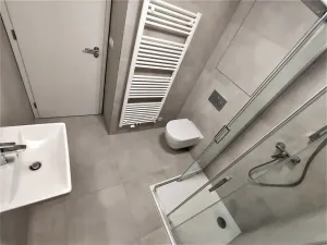 Pronájem bytu 1+kk, Brno, Placzkova, 27 m2