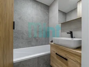 Pronájem bytu 1+1, Ostrava, Alšovo náměstí, 41 m2