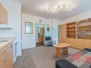 Prodej bytu 1+kk, Frýdek-Místek, J. E. Purkyně, 27 m2