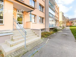 Prodej bytu 1+1, Hrob, Rybniční, 27 m2