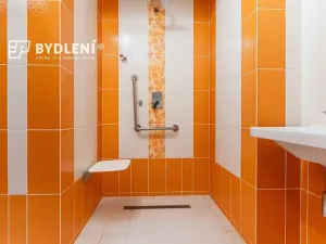 Pronájem komerční nemovitosti, Teplice, Jaselská, 754 m2