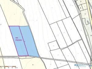 Prodej louky, Police nad Metují, 8999 m2