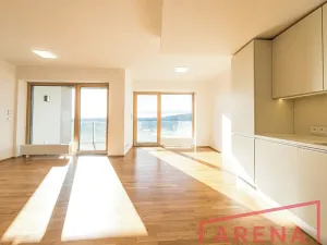 Pronájem bytu 3+kk, Brno, Bohuslava Martinů, 124 m2