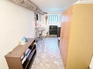 Prodej vícegeneračního domu, Dlouhá Loučka, Na Fibichu, 238 m2