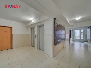 Pronájem bytu 3+1, Poděbrady, Dr. Horákové, 80 m2