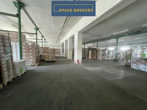 Pronájem skladu, Ždírec nad Doubravou, Nádražní, 278 m2
