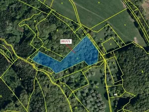 Dražba louky, Slopné, 7426 m2