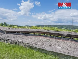 Prodej komerčního pozemku, Kosova Hora, 6131 m2