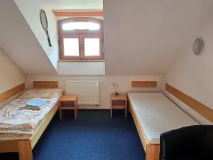 Prodej ubytování, Český Rudolec, 560 m2