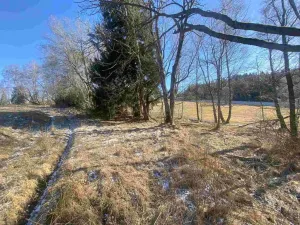 Prodej pozemku, Čachrov - Javorná, 2391 m2