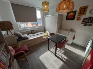 Prodej bytu 1+kk, Chomutov, Kostnická, 20 m2